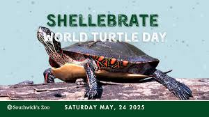 [Image: images?q=tbn:ANd9GcTY_wDJYDTIofzHI3tB7zH...m8dtucOw&s]