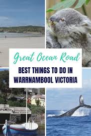 Things To Do In Warrnambool Victoria Great Ocean Road Warrnambool Victoria Australia Australia Travel