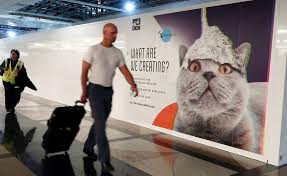 Den, icao kden, kurz dia) ist ein internationaler verkehrsflughafen knapp 40 kilometer nordöstlich der innenstadt von denver. Denver Botschaften Von Reptilienmenschen Und Katzen Mit Alu Huten Am Flughafen Denver Stimmt Was Nicht Sudkurier Online