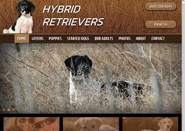 Males and females available sire driftway brush with fame trudgalong kennels contact lindy trudgeon location gloucester phone 0265583097 email trudgalong@gmail.com dogs nsw member. Dog Breeder Web Design Labrador Retrievers South Dakota