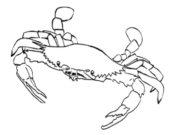 And this is just one of their advantages. Free Printable Crab Coloring Pages For Kids