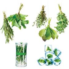 Comment Conserver Vos Fines Herbes En 5 Facons Je Jardine Herbs Glass Vase Conservation