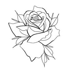 Tattoo     :  (81 )
