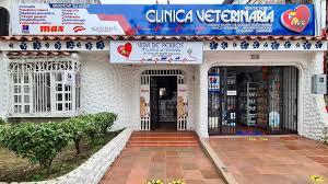 Vida de Perros Centro Veterinario