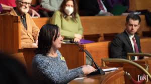 Citizens Against Wind Turbines in Lake Erie president addresses Common  Council