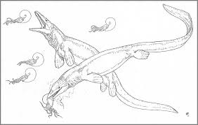 We have collected 38+ mosasaurus coloring page images of various designs for you to color. Mosasaurus Dinosaur Coloring Pages Coloring And Drawing