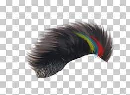 Picsart Photo Studio Hairstyle Editing Hair Style Black And Multicolored Hair Illustration Png Clipart Photo Studio Blur Background In Photoshop Picsart