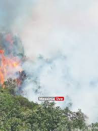 Maybe you would like to learn more about one of these? Rkyg73dqsbzjtm