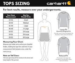 Carhartt 104637 Rain Defender Fleece Lined Graphic Sweatshirt Dungarees