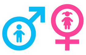 Mythen Uber Das Geschlecht