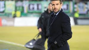 Fransa'da büyüyen elsner, kariyerine gençlik düzeninin ve yedek ekibin bir parçası olduğu. Luka Elsner Trener Francoskega Prvoligasa Delo