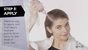 Amazon.com: L'Oréal Technique HiColor Violet & Blacks Permanent Hair Color 