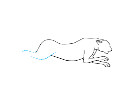 Cheetah running by prodigyduck on deviantart. How To Draw A Cheetah In A Few Easy Steps Easy Drawing Guides