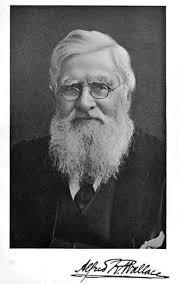 Alfred Russel Wallace FRS (1823-1913)
