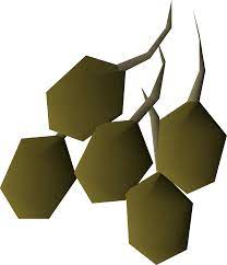 Potato Seed Osrs Wiki