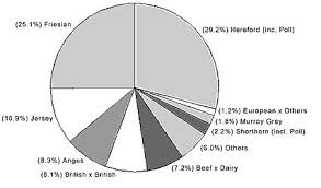 Breeds Of Beef Cattle Breeds Beef Livestock