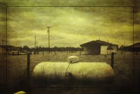 Cyclone claudette (1979), caused severe damage to mauritius and. Tropical Storm Claudette In Alvin Tx 1979 Photograph By Tikvah S Hope
