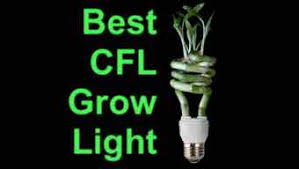 Shop all of our fluorescent t5 and cfl grow lights. Lumenlite Cfl Blue Spectrum Light Bulb Flowering Growing Plant Lamp Hydroponic Yard Garden Outdoor Living Home Garden