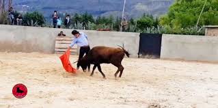 Franco Salcedo - Pagina Oficial