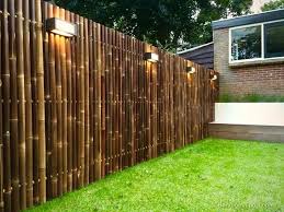 Once established, it is literally next to impossible to control. Black Bamboo Fence Sold In 8 Foot Lengths Choice Of 4 Heights In 2021 House Fence Design Bamboo Garden Fences Bamboo Fence