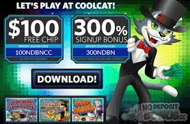 So, when you do make a. Cool Cat Casino Free No Deposit Clevergogreen