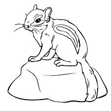 Baby Chipmunk Coloring Page Animal Coloring Pages Animal Coloring Books Shark Coloring Pages