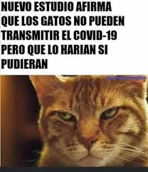 The disclaimer, applied automatically to any image post containing the word vaccine and displayed to users in the united. Los Mejores Memes Por El Coronavirus Y El Humor Para Frenar La Curva