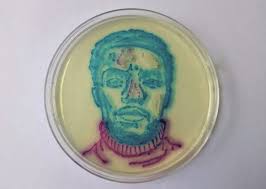 INS & OUTS OF VACCINES