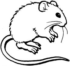 صور تلوين فئران 2014 صور رسومات فئران للأطفال جاهزة للتلوين والطباعة Mouses Coloring 2015 Animal Coloring Pages Mouse Pictures Coloring Pages