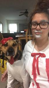 National Dress Your Dog Up Day struggles