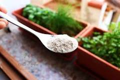 Fertilizzante con guscio d'uova - Ricette di Gabri