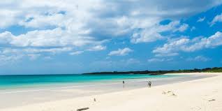 お散歩気分でアイランドホッピング｜沖縄離島専門の観光情報サイト【沖縄しまさんぽ】