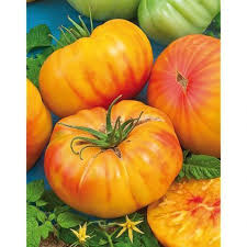 Tomate Greffee Ananas Graines Baumaux Tomate Ananas Jardin De Tomates Tomates