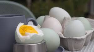 Soalan yang saya selalu tanya pada diri. Pahami Ini Cara Masak Telur Rebus Beserta Cara Pilih Telur Yang Baik Halaman All Tribun Timur