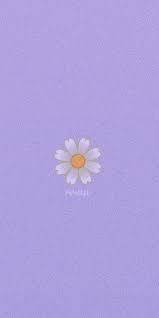 Daisy Cute Aesthetic Wallpaper Lockscreen Di 2021