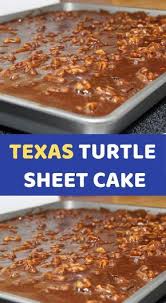 Texas Turtle Sheet Cake Desserts Sheet Cake Recipes Cake Recipes