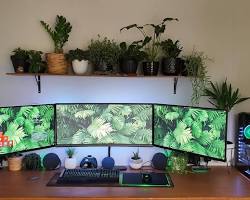 PC setup with plants