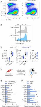 Myeloid ALX/FPR2 regulates vascularization following tissue injury