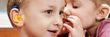 Sophisticated Giving Charity Register St. Louis 2024 by Sophisticated  Living Magazine