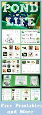 Pond Life Theme In 2020 Pond Life Pond Life Theme Pond