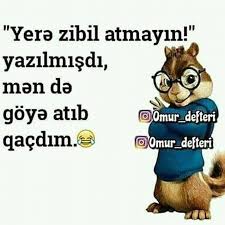 Gulmeli şekiller