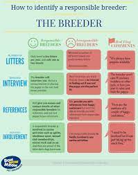 Maybe you would like to learn more about one of these? Guide On Selecting A Responsible Dog Breeder Bwm