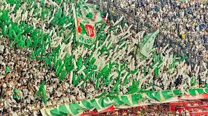 PROIBIDO! FPF proíbe organizada do Palmeiras de entrar em jogos por 30 dias