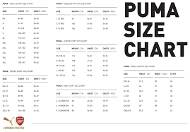 Puma Size