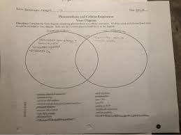 We did not find results for: Name Becoby Ecwers Date Say Photosynthesis And Chegg Com