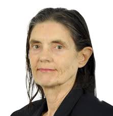 Shippers avoiding Red Sea transits after attacks, watching Suez Canal  traffic