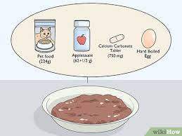 3 Ways To Feed A Baby Sparrow Wikihow