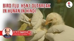 Bird flu is also called avian influenza. Bird Flu H5n1 Outbreak In India In Hindi H5n1 Bird Flu Virus Outbreak In India Youtube