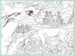 Pin On Free Coloring Pages