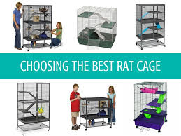 There are various cage calculators for rat cages available online. Top 6 Best Rat Cages Find The Best Home For Your Pets Animallama